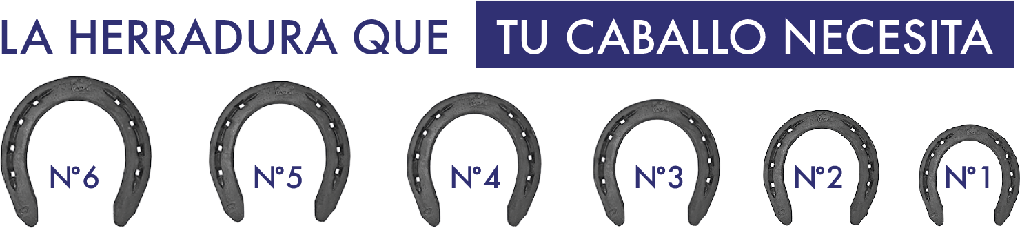 herradura_tamanos